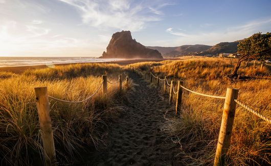 auckland-lion-rock-trail-sunset