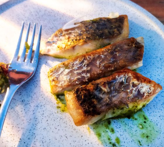 sydney-meals-grilled-barramundi