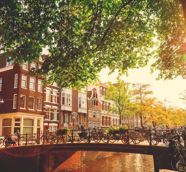 Social Sciences + Humanities | Amsterdam | College Study Abroad | CIEE