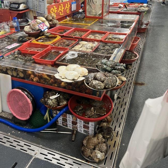 I took this while at the famous fish market in Busan because it was very surreal to see all the different kinds of seafood Busan has to offer in one location.