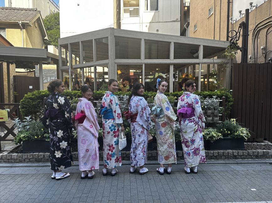 Yukata wearing in Asakusa