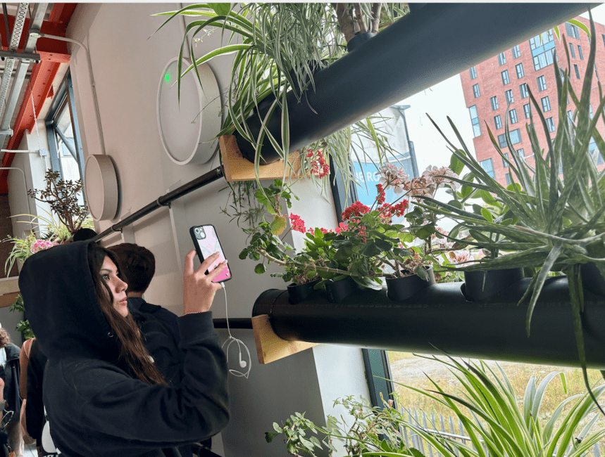 Student, Fiona, observing urban gardening
