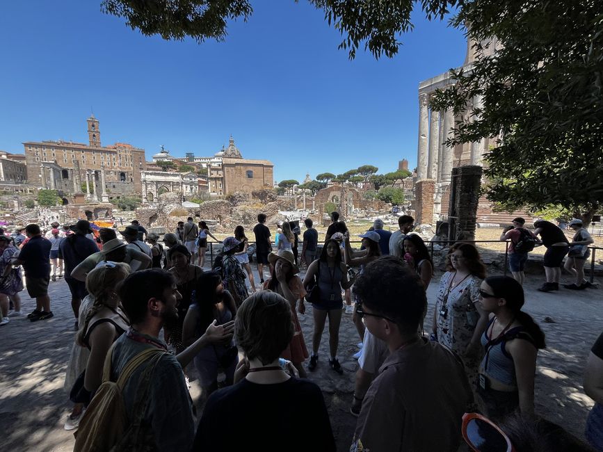 Guided tour at the Roman Forum