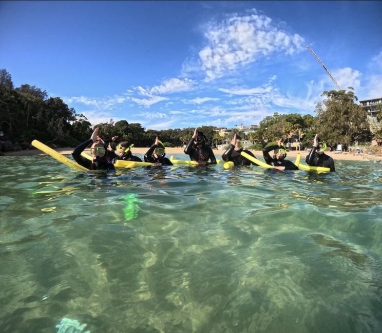Students snorkel and explore aquatic life on Shelly Beach!