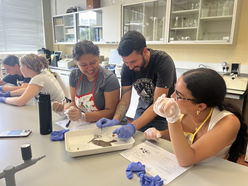 Lab dissection with the teacher