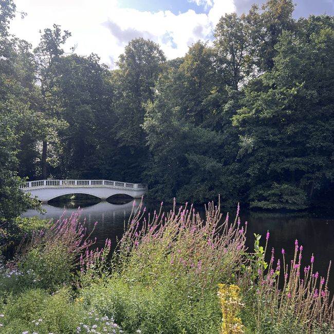 london garden outside study abroad