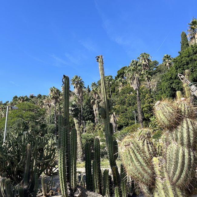 barcelona desert scape