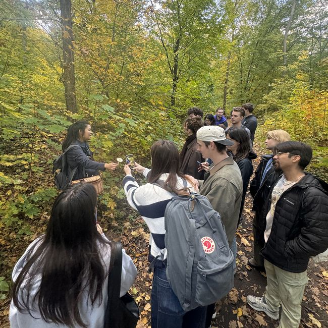 berlin students abroad forest