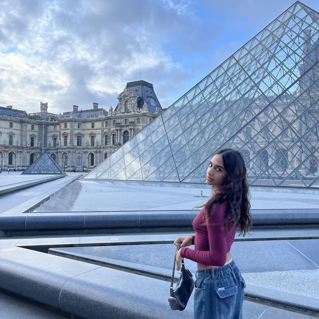 abroad france louvre