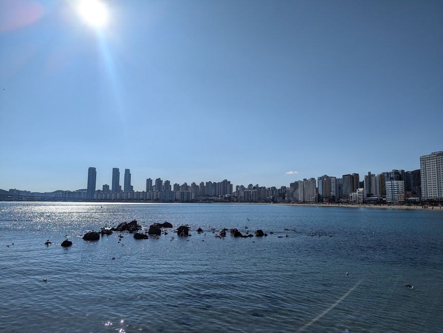 study abroad busan ocean front