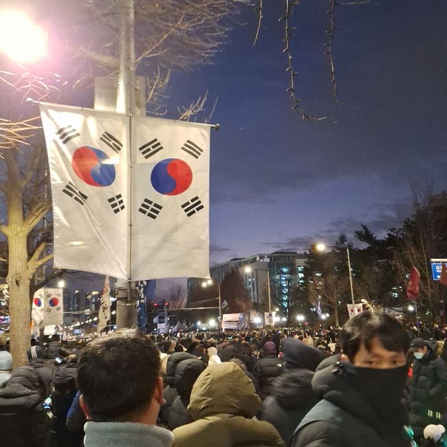 south korea flag mob protest