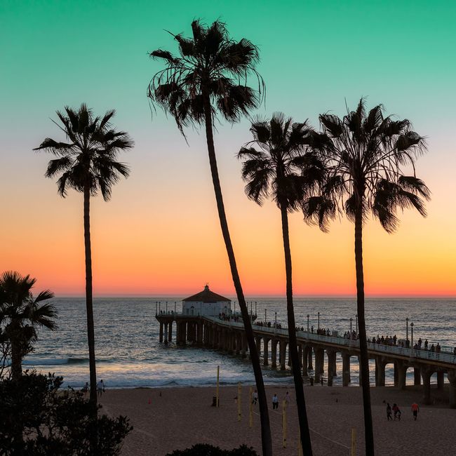 sunset in california with palm trees