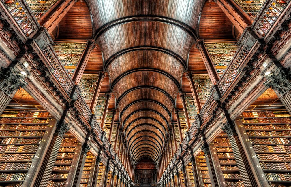 dublin library ceiling books