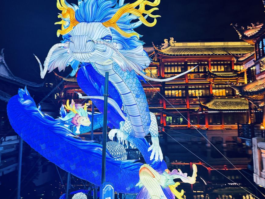 shanghai blue dragon lantern