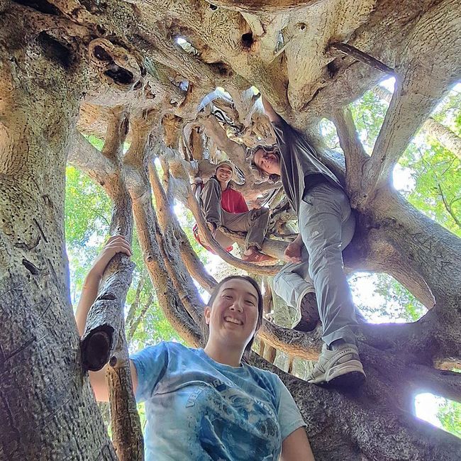 Teens climbing a tree abroad