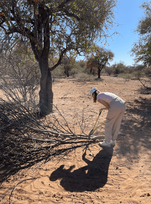 Working on combatting bush encroachment 