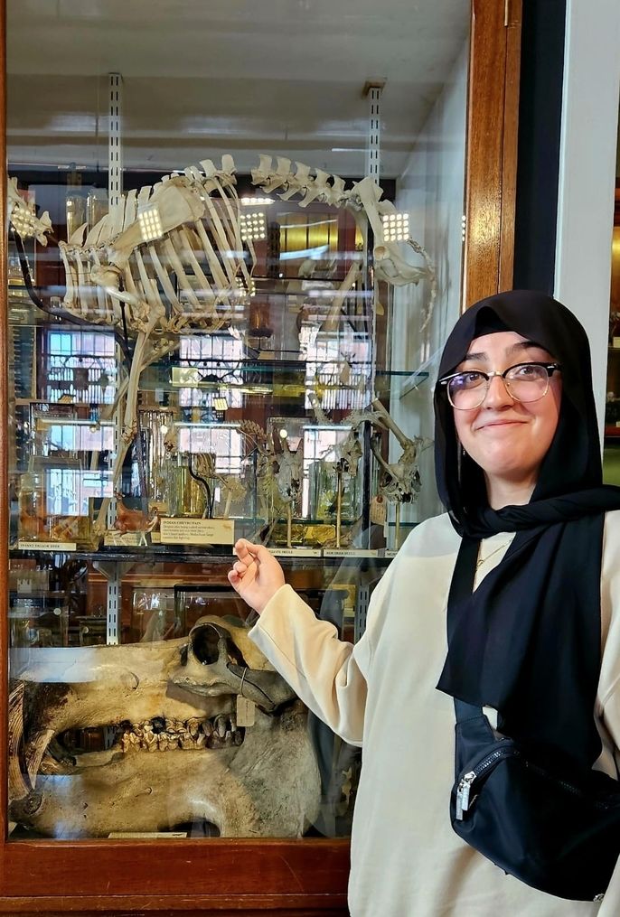 Student intrigued at the Grant Museum of Zoology