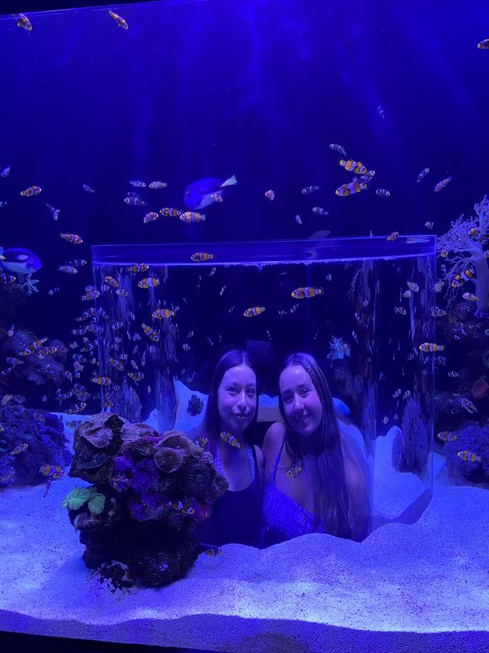 students at aquarium 