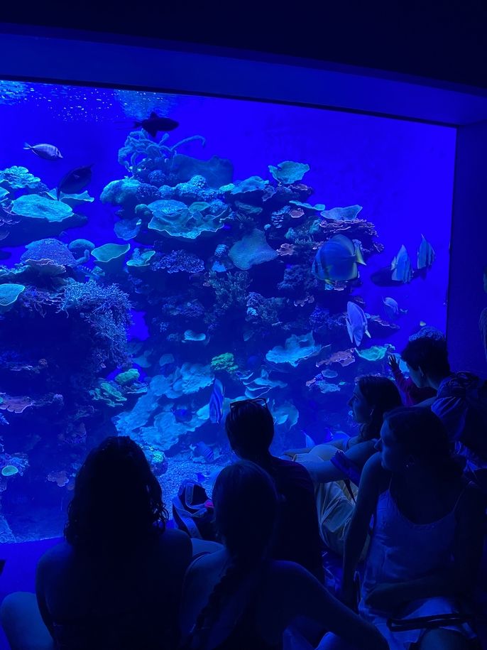 students at aquarium 