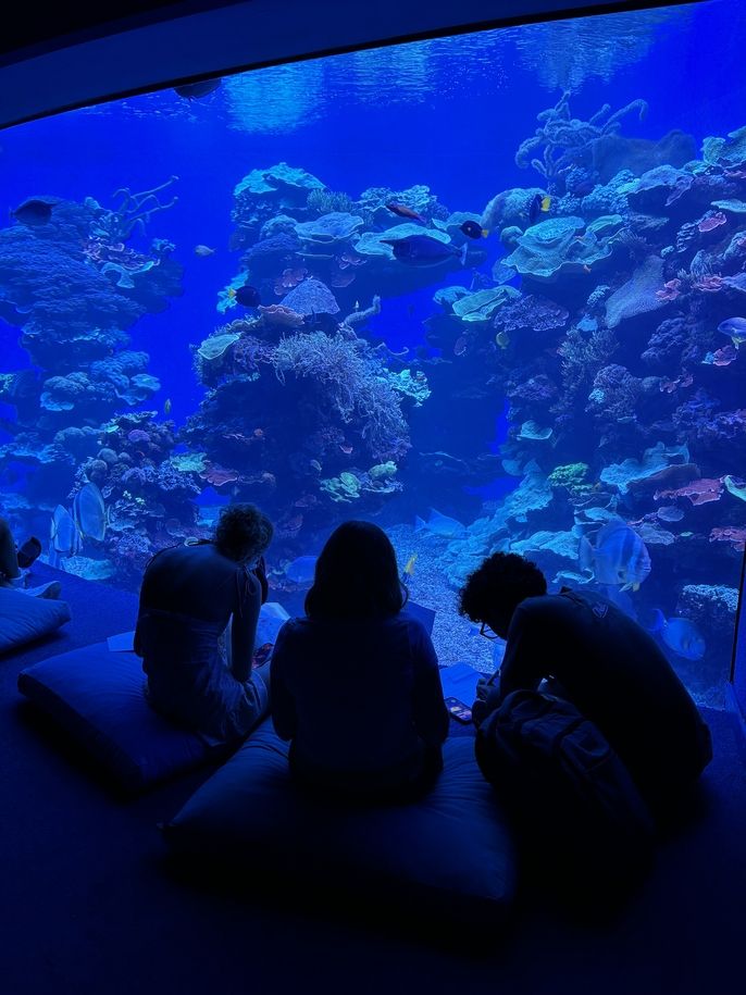 Students completing their activity at the aquarium