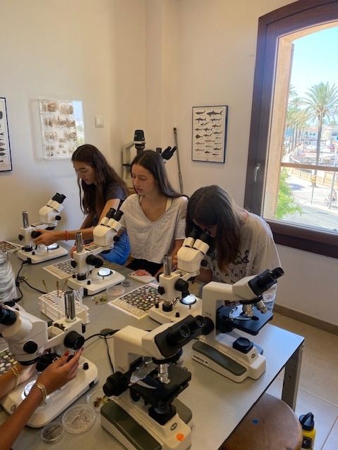 photo of students looking a microscope samples