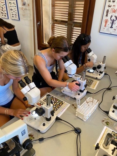 more students looking at samples through a microscope
