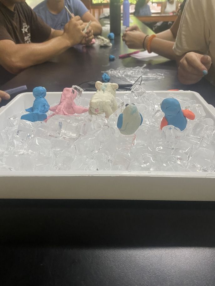 Student creation during the Glacial Melt simulation.