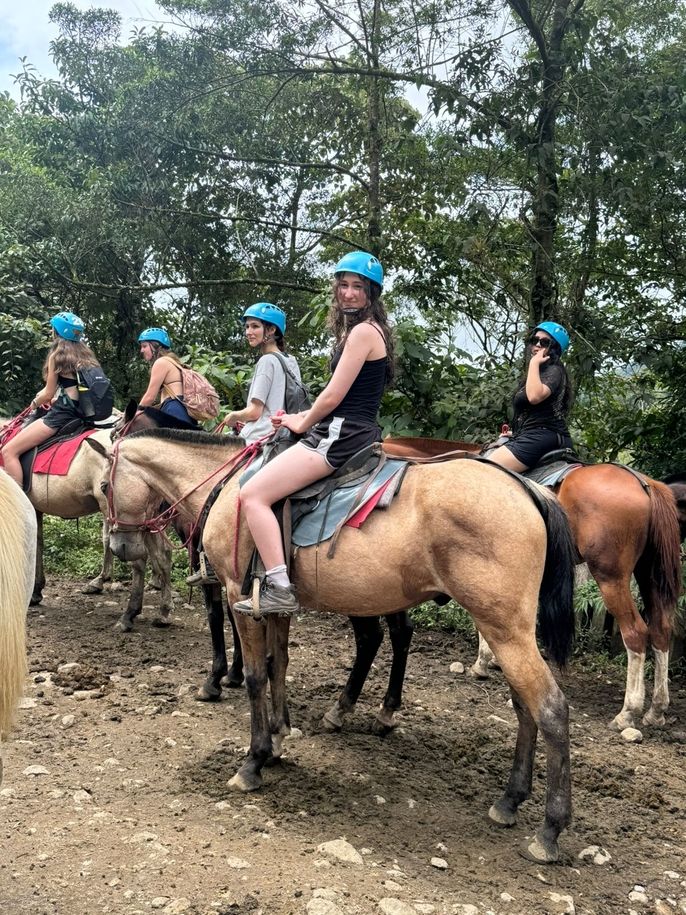 Groups on horseback 