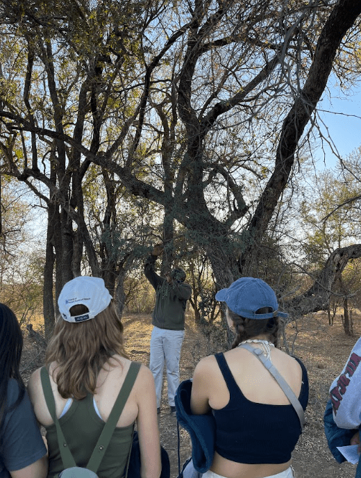 Learning about flora in the bush