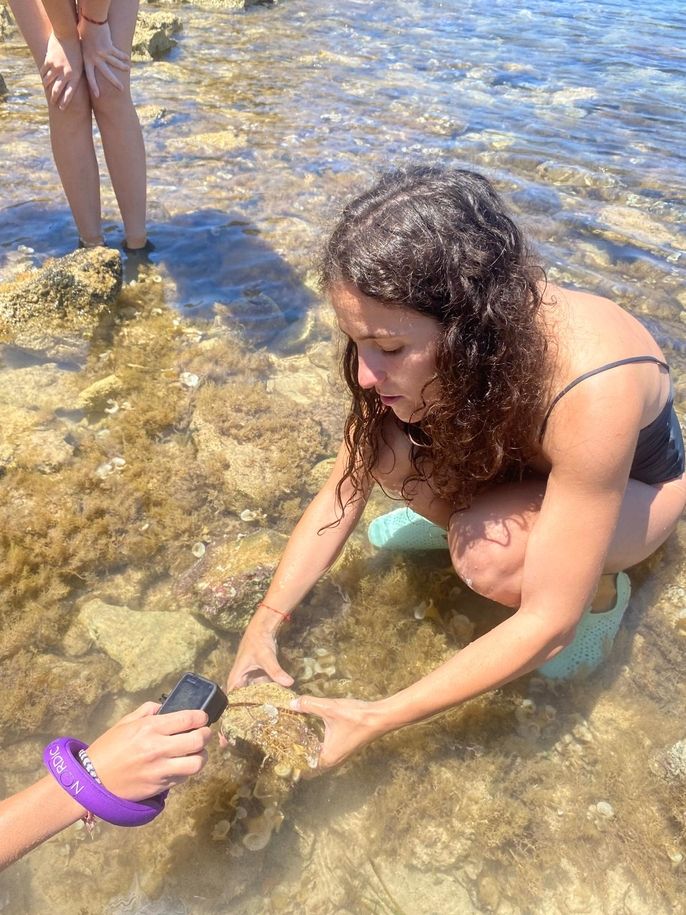 Sofia teaches about Brittle Starfish
