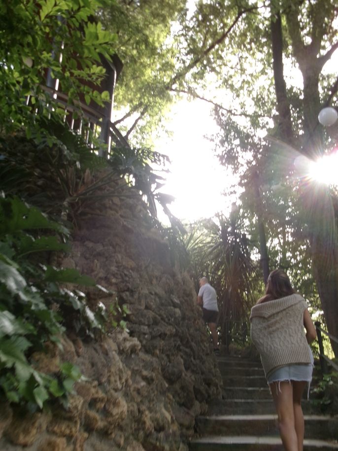 seville exploring woods steps