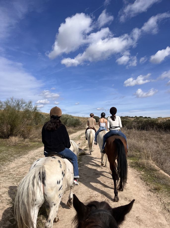 horse hiding spain abroad study