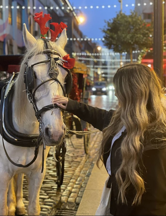 Young teacher patting a horse's snout in downtown Dublin