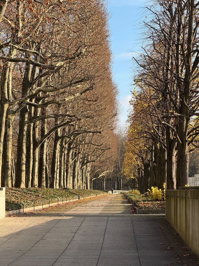 berlin study abroad street