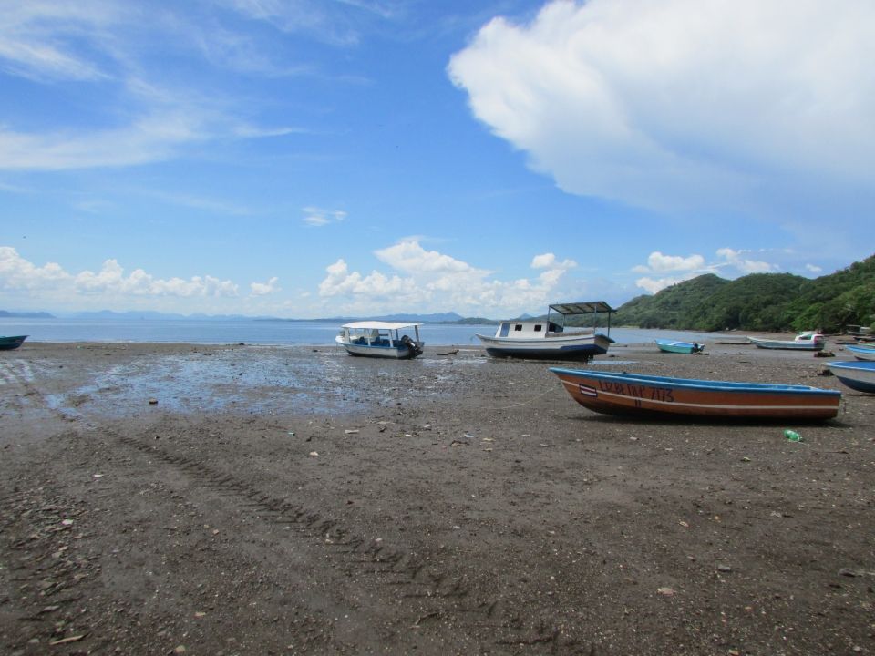 00 costa de pajaros