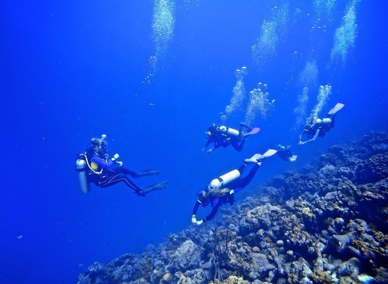 Sara dive group reef crest