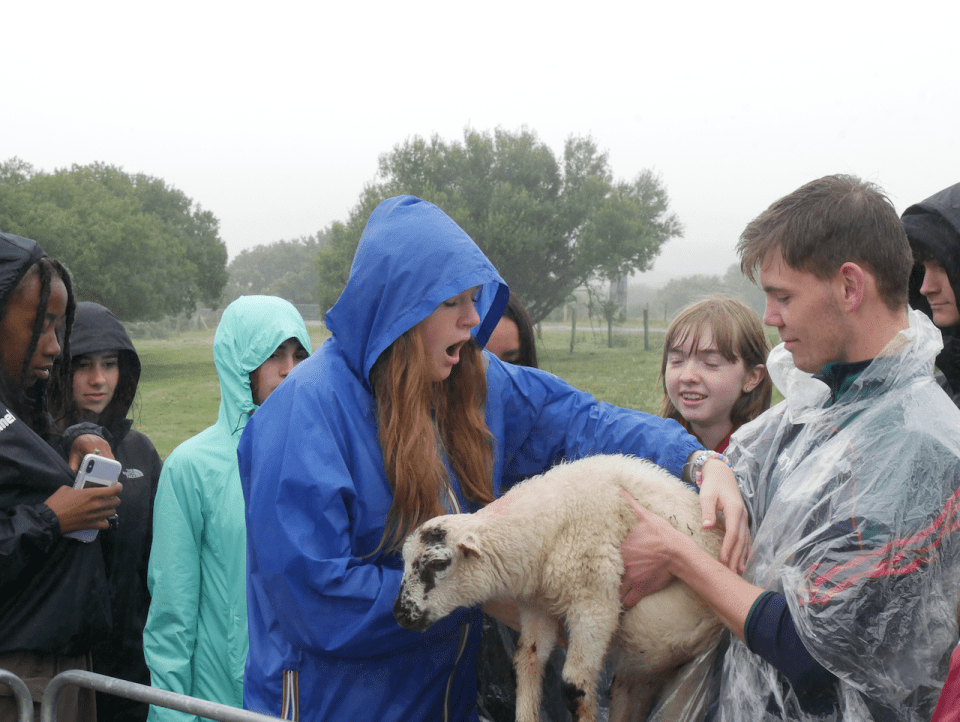 Photo for blog post Glen Keen Farm & Lunch in Galway