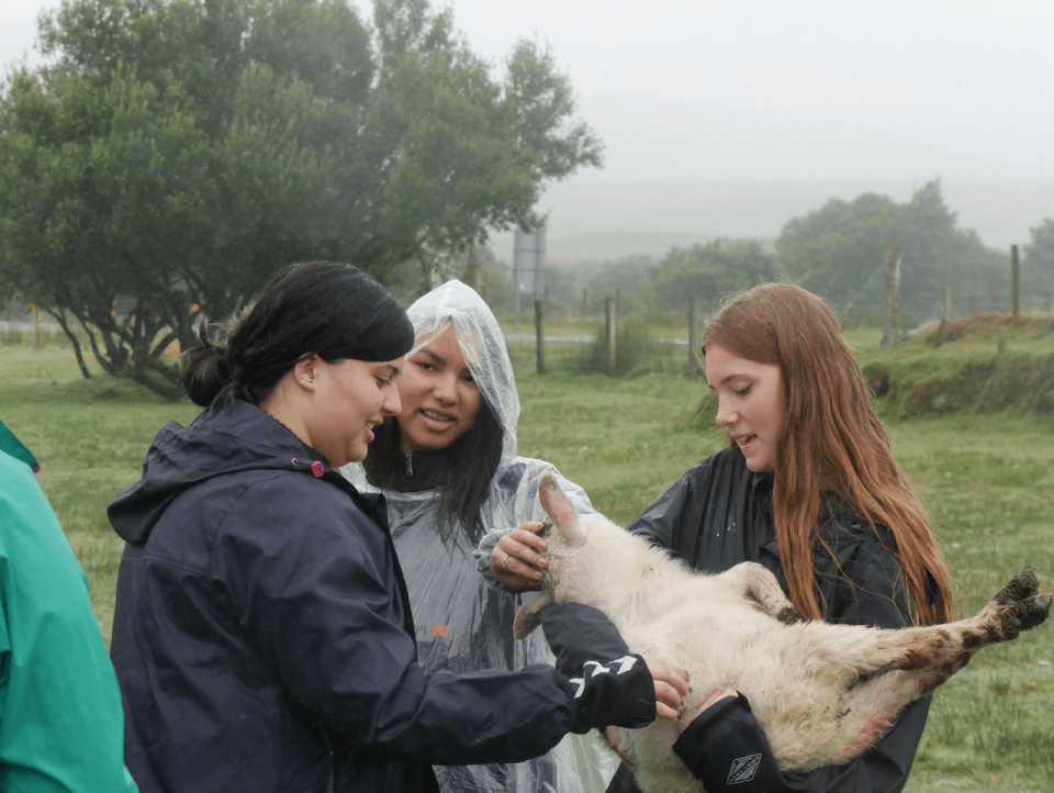 Photo for blog post Glen Keen Farm & Lunch in Galway