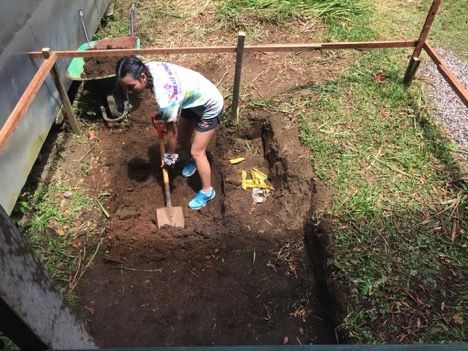 Photo for blog post Building a dry composting toilet 