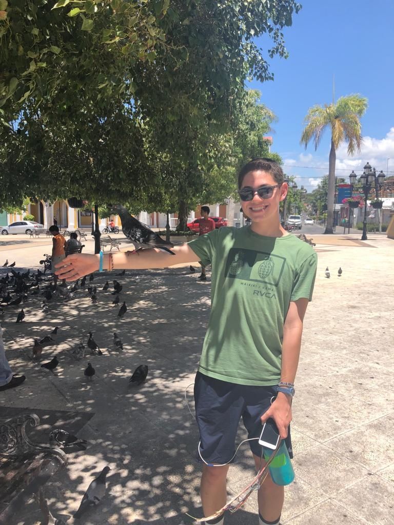 Photo for blog post Paseo a finca y playa -- Trip to a farm and beach