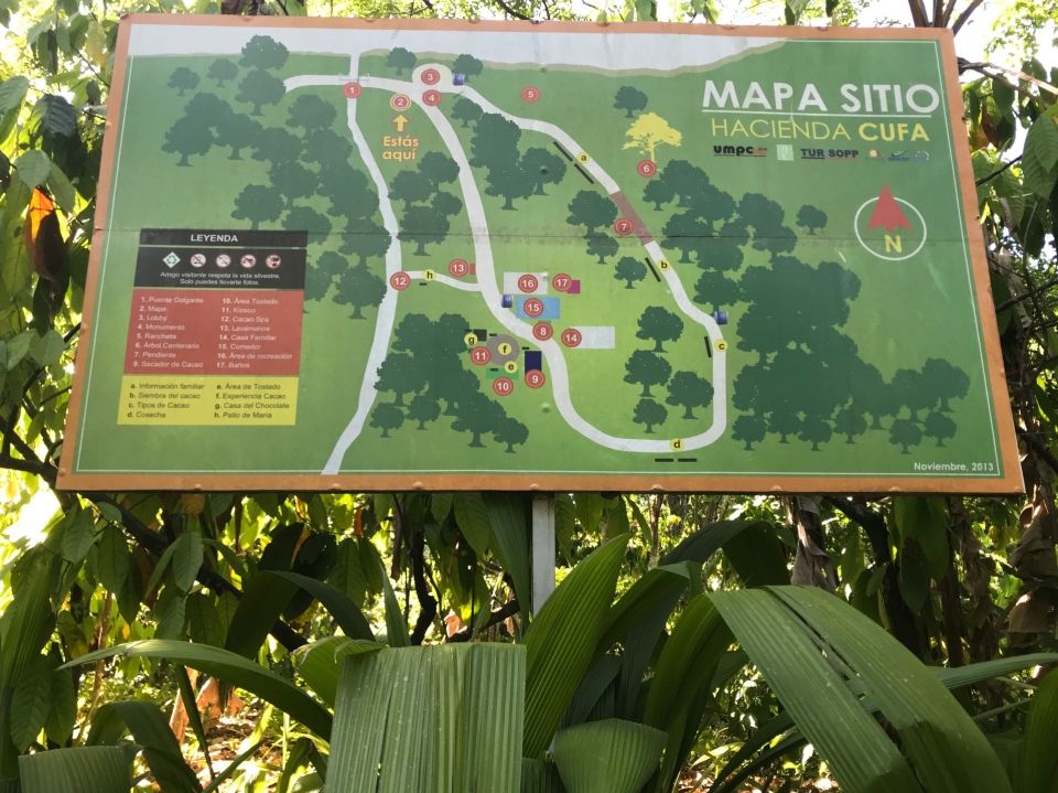 Photo for blog post Paseo a finca y playa -- Trip to a farm and beach