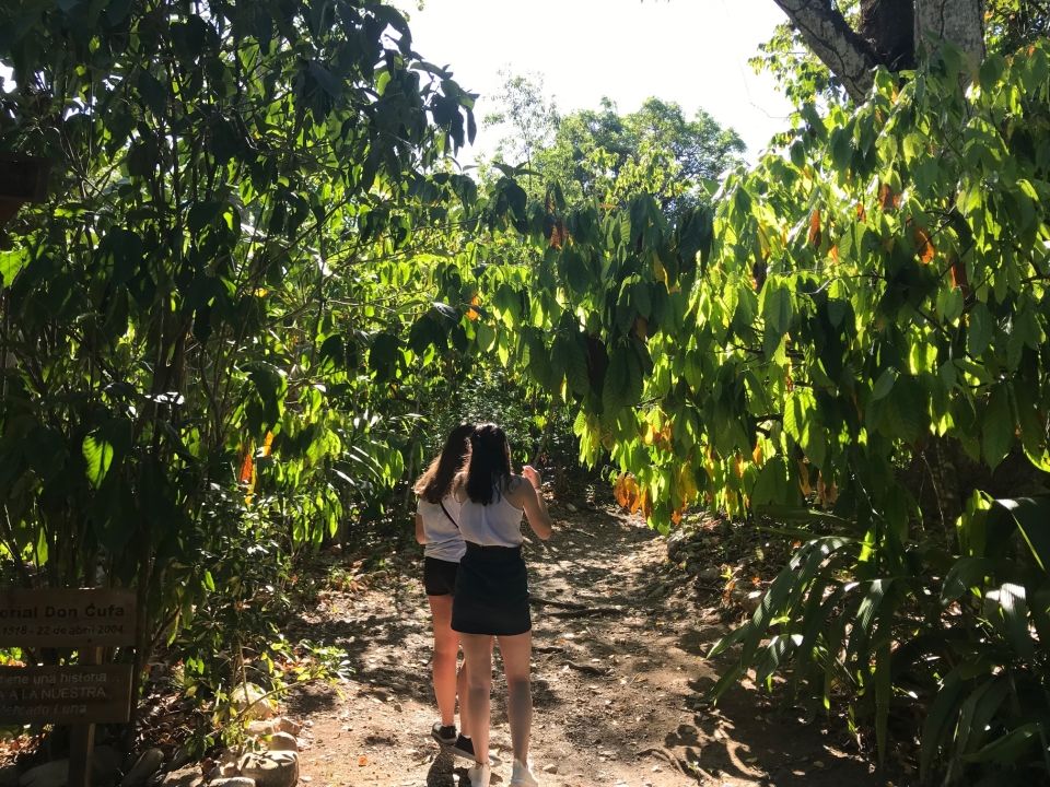Photo for blog post Paseo a finca y playa -- Trip to a farm and beach