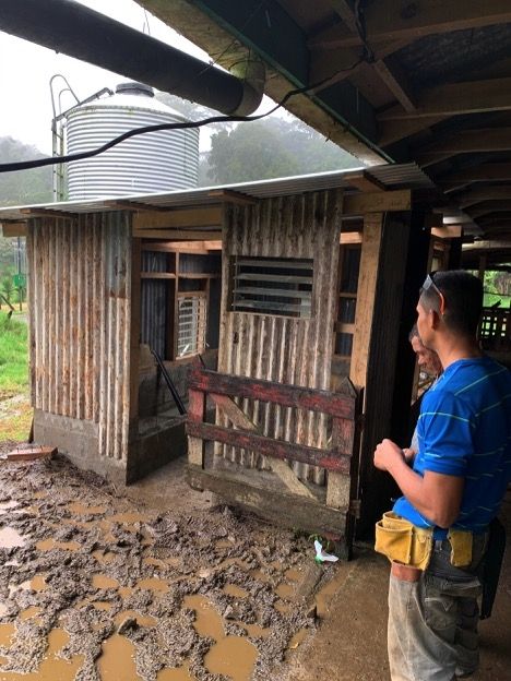 Photo for blog post Sustainable waste management for manure in a Monteverde dairy farm