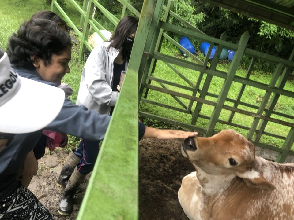 Photo for blog post A fun day of learning about sustainable farming!