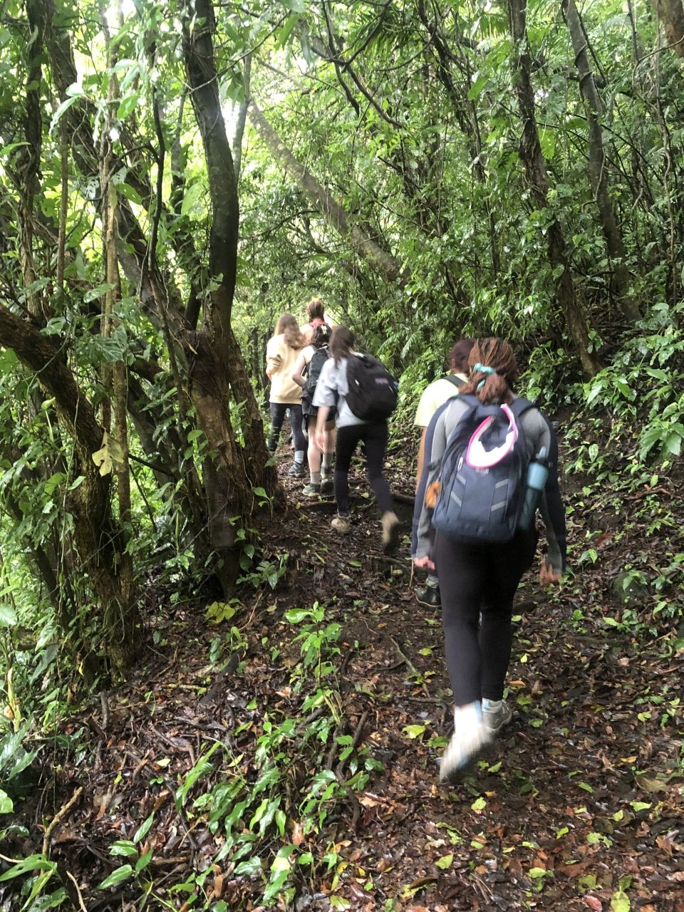 Wonderful hiking to get to Parcela Lobo a local farm in San Luis Area