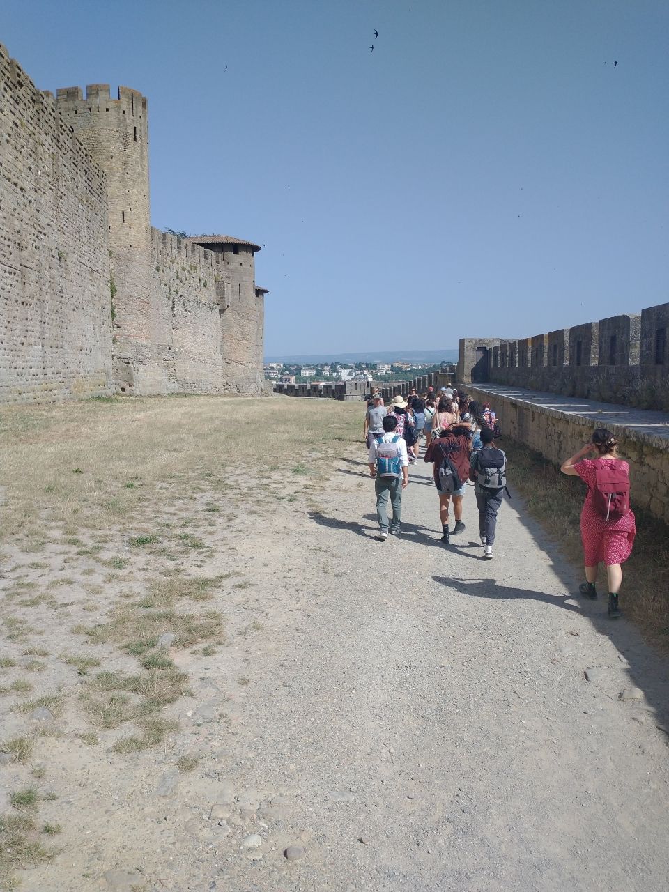 Photo for blog post Carcassonne: Visit of a 2000-Year-Old City