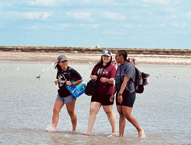 Walk on the beach