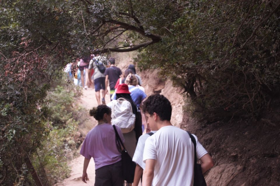 Photo for blog post Exploring Geographical and Cultural Diversity in Chefchaouen, Morocco