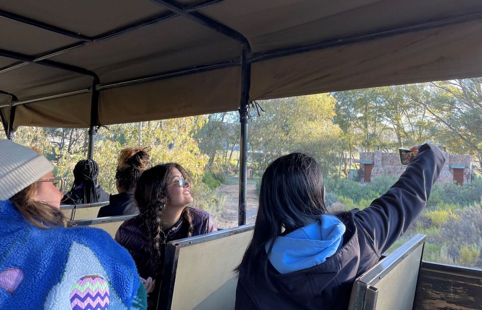 cape town safari selfie student group abroad