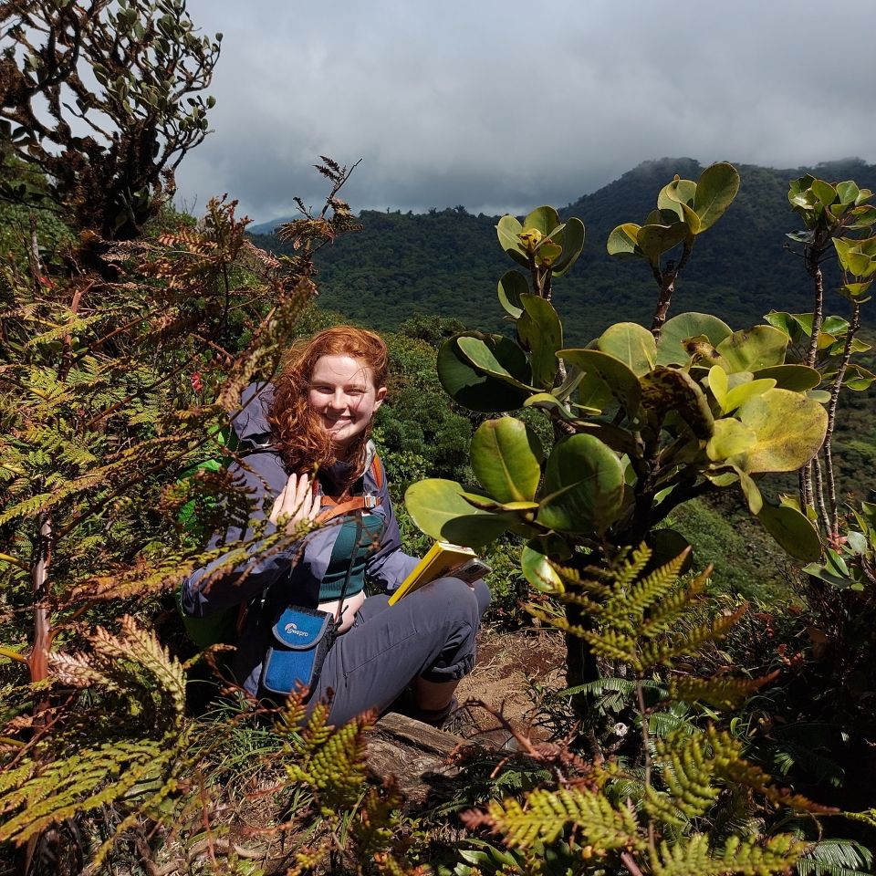 student monteverde rainforest